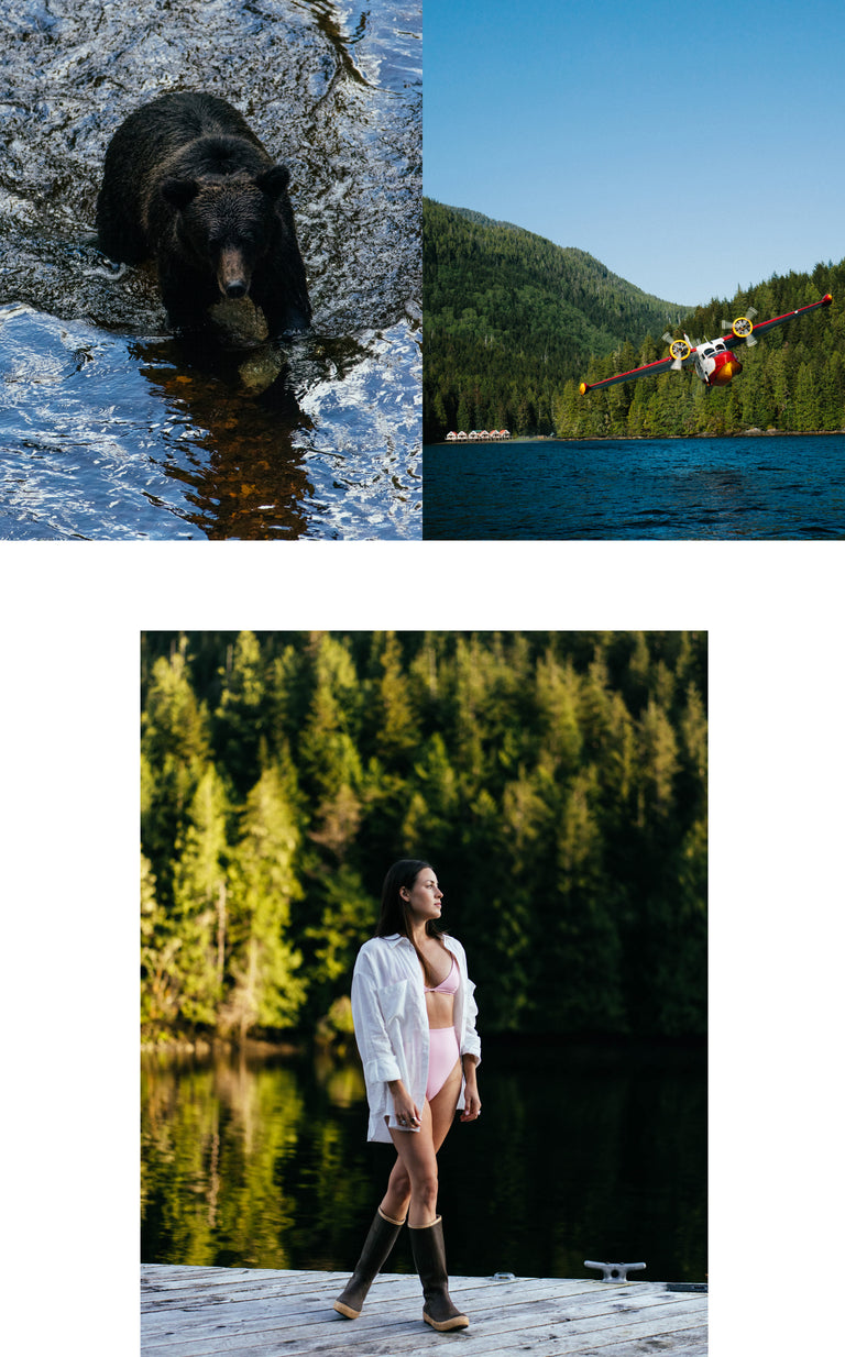 Top left: Bear in water, top right: float plane over a lake with forest, bottom: Left On Friday Swimsuit Sandy Top & Hi Hi Bottom Delight
