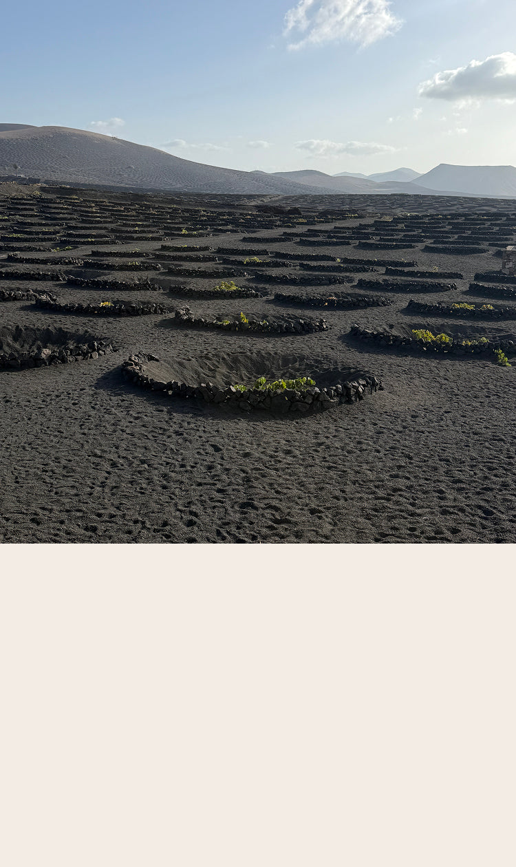Scenic Photo in a collage