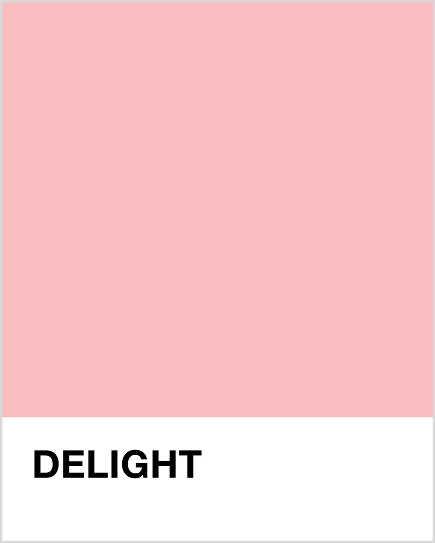 DELIGHT (PINK) PANTONE