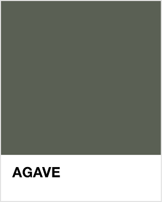 Agave Pantone
