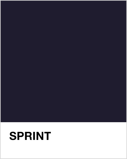 SPRINT (NAVY) PANTONE