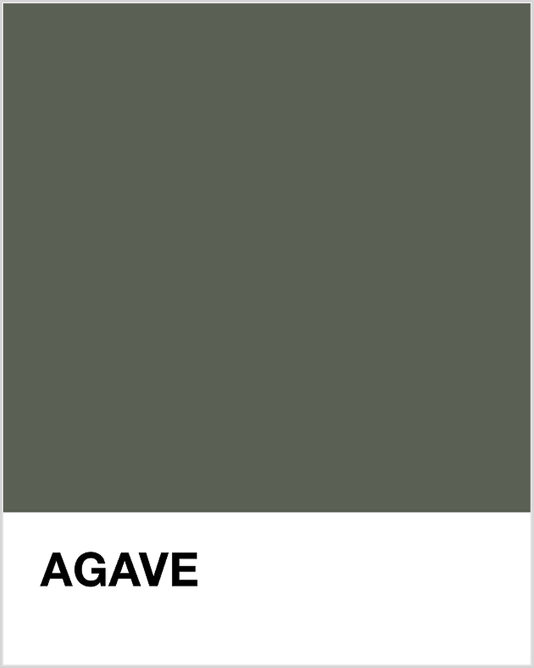 Agave Pantone