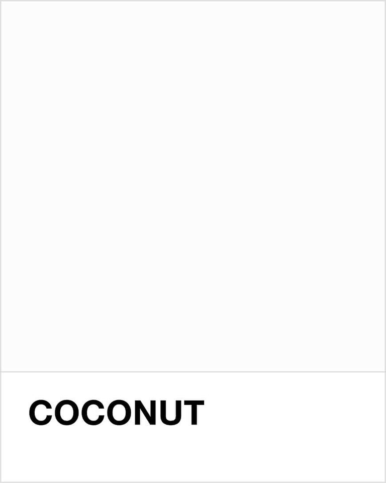 Coconut Pantone