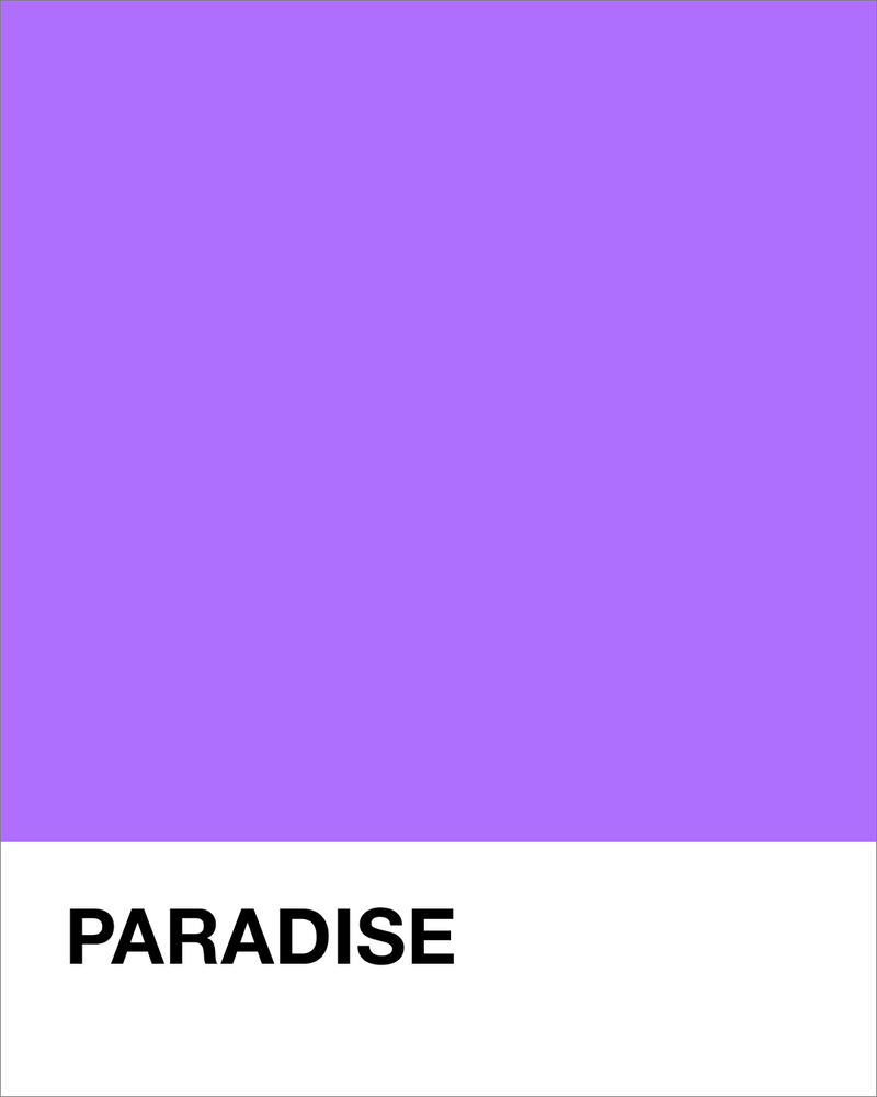 Paradise (Purple)