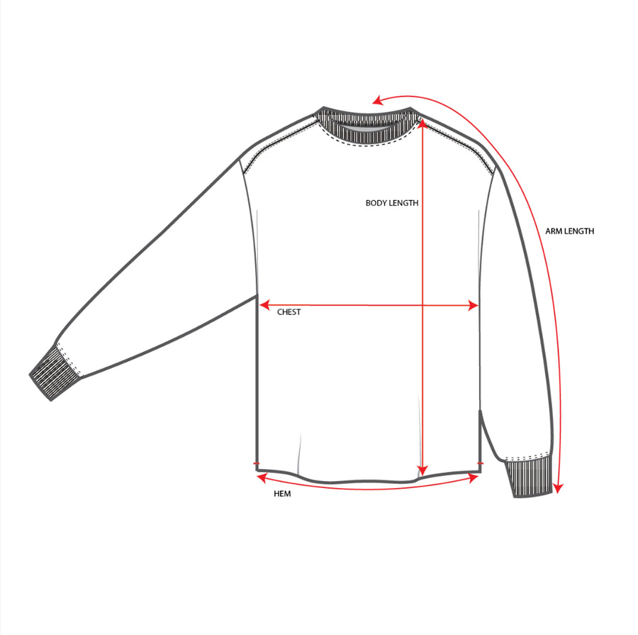 Swell Oversized Long Sleeve Tee Measurements