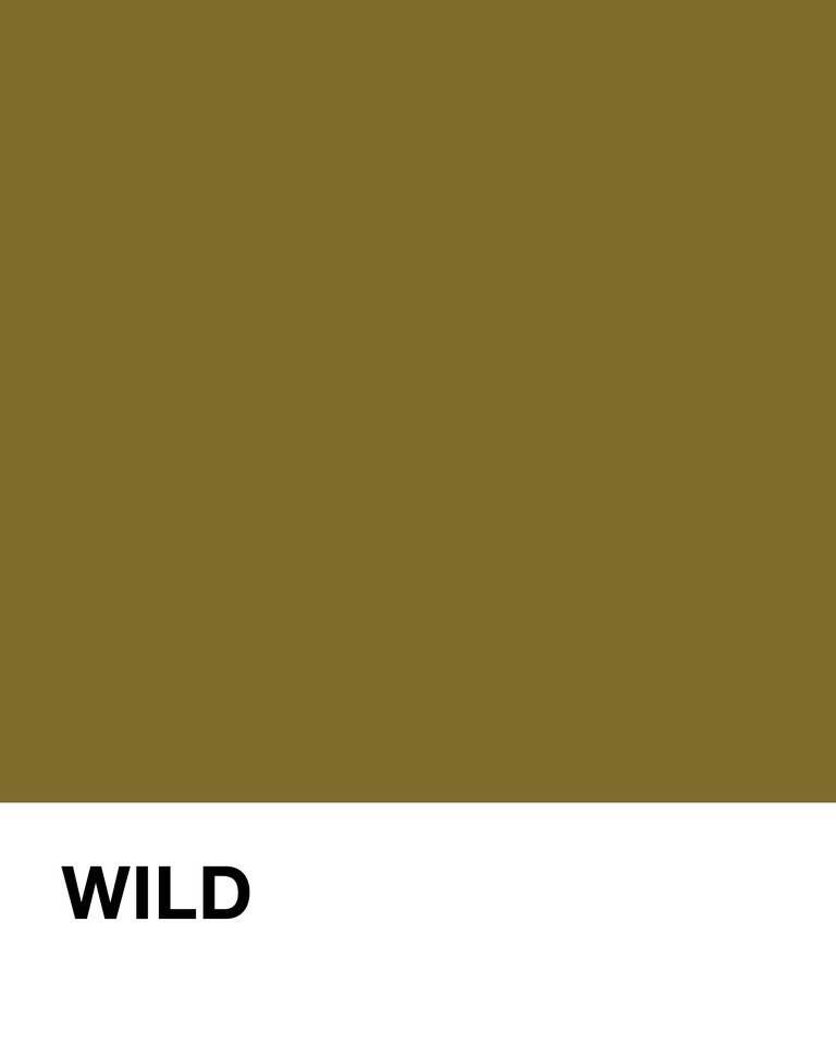Solid color swatch with the word 'WILD' at the bottom